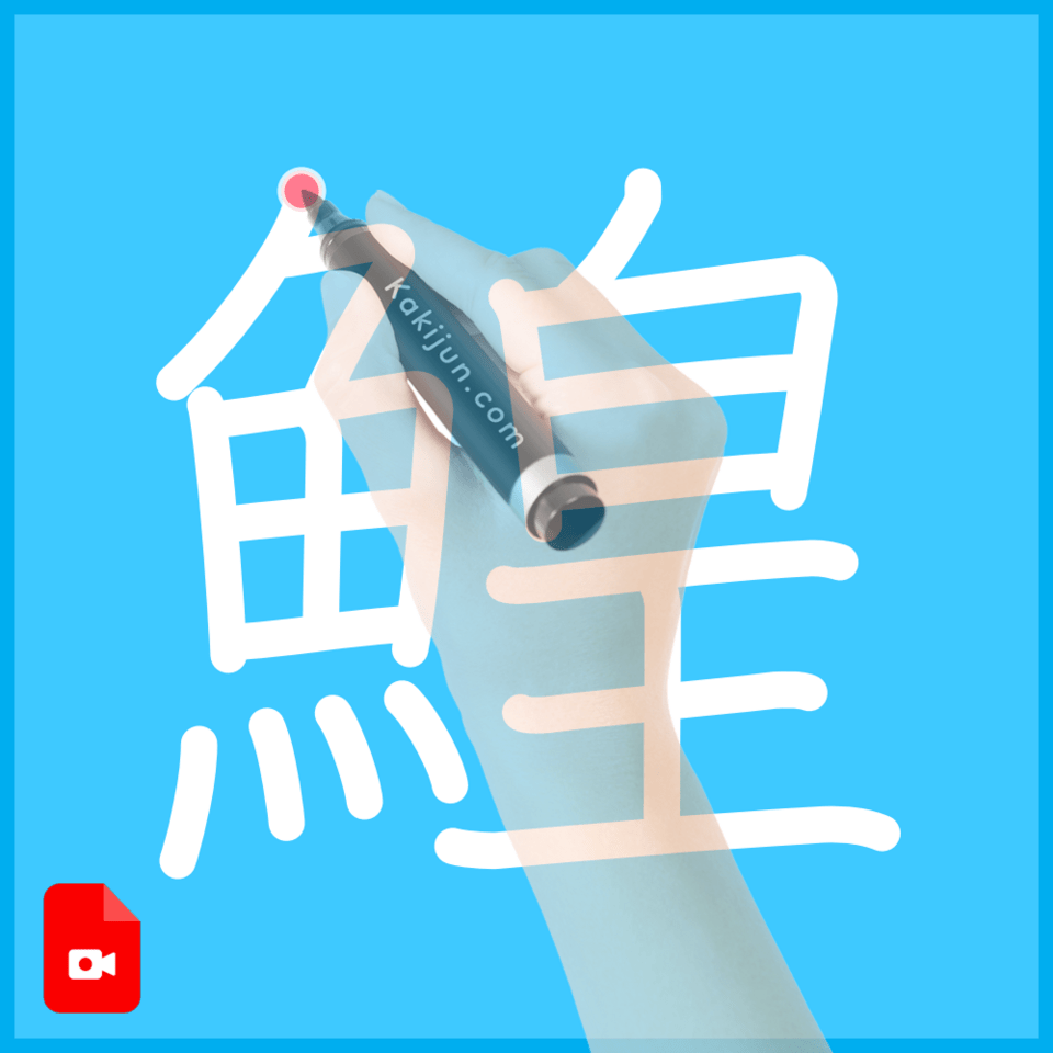 「鰉」の書き順