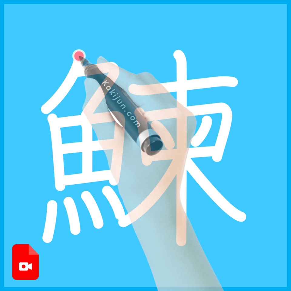 「鰊」の書き順