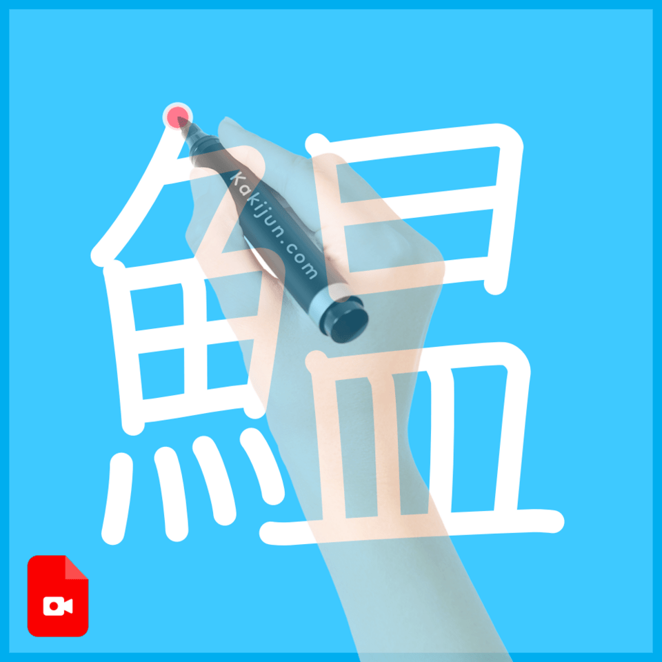 「鰛」の書き順