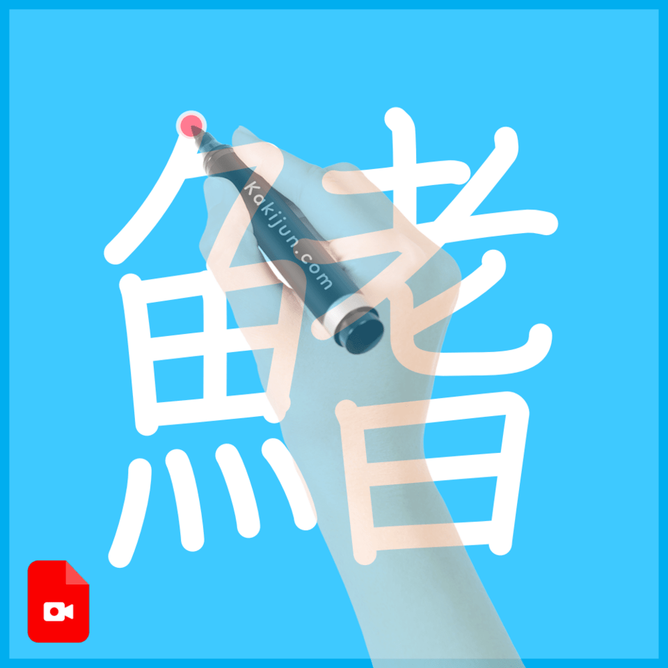 「鰭」の書き方