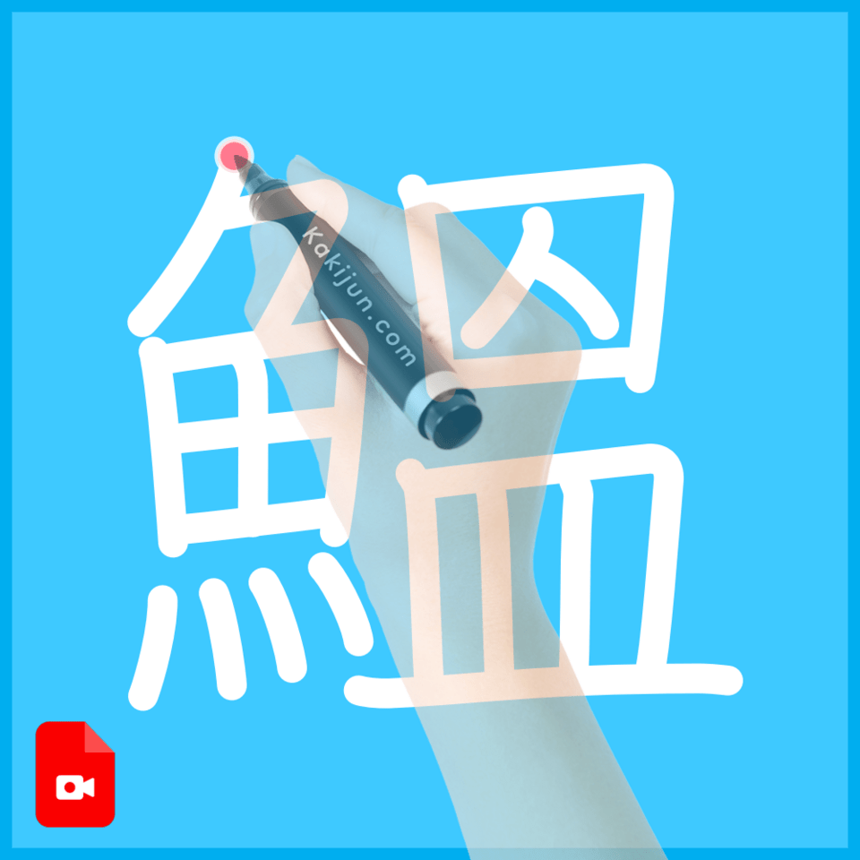 「鰮」の書き順