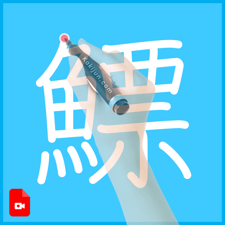 「鰾」の書き順