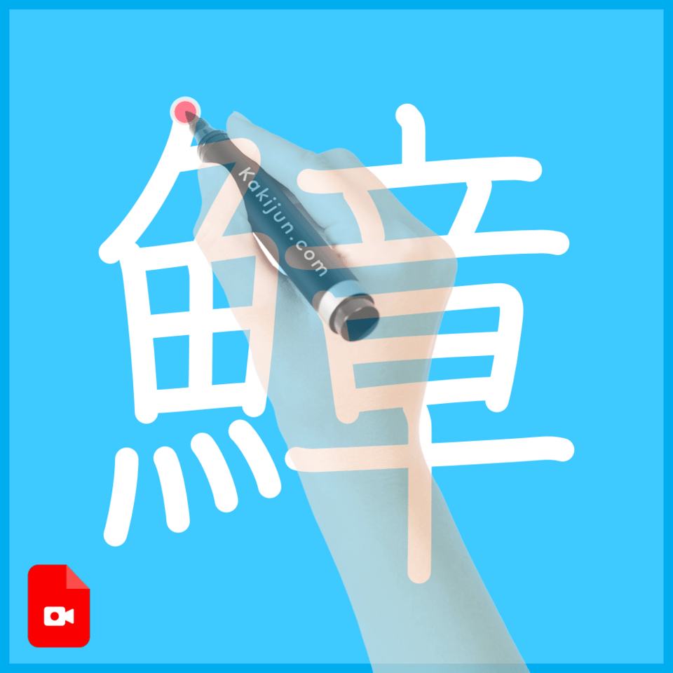 「鱆」の書き順