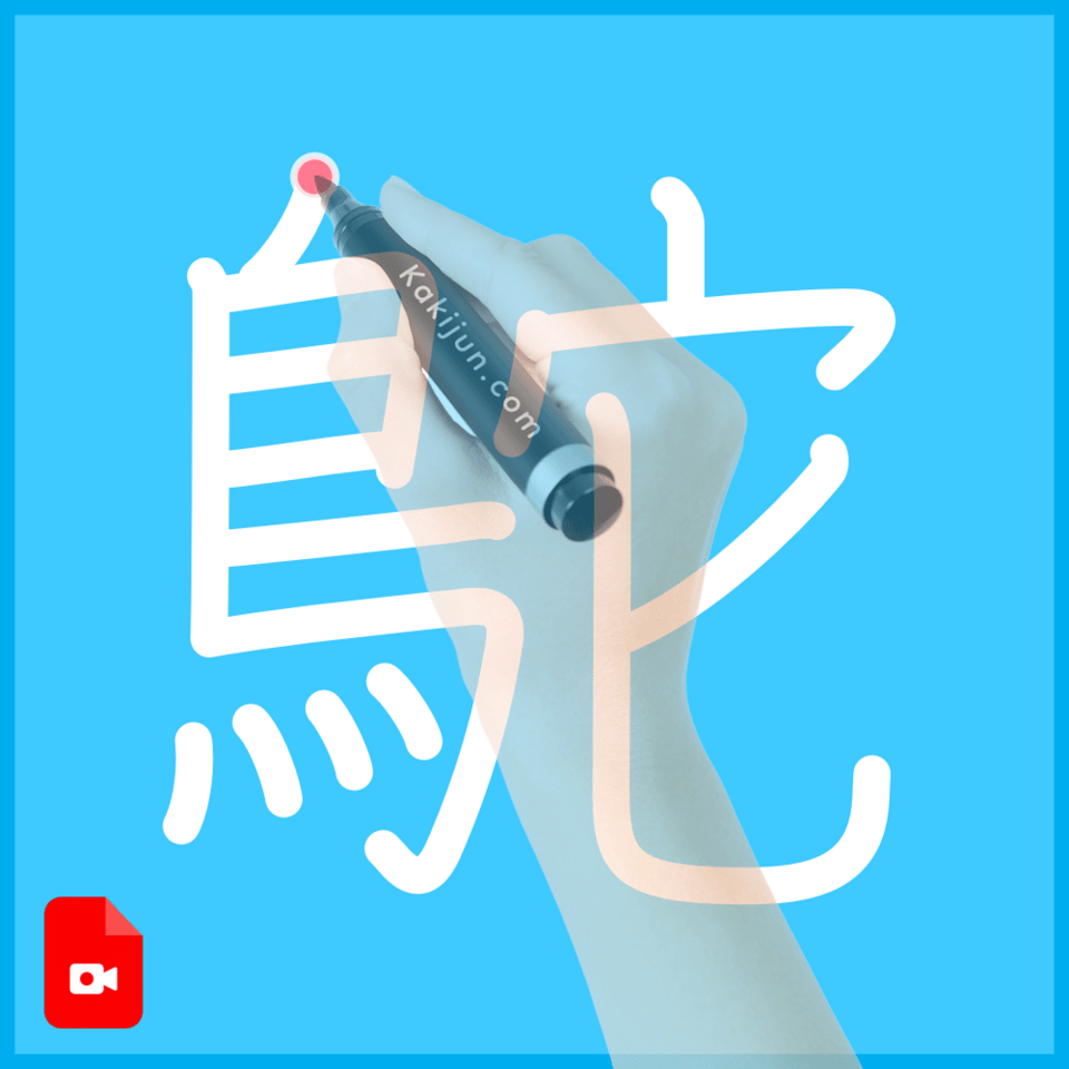 「鴕」の書き順
