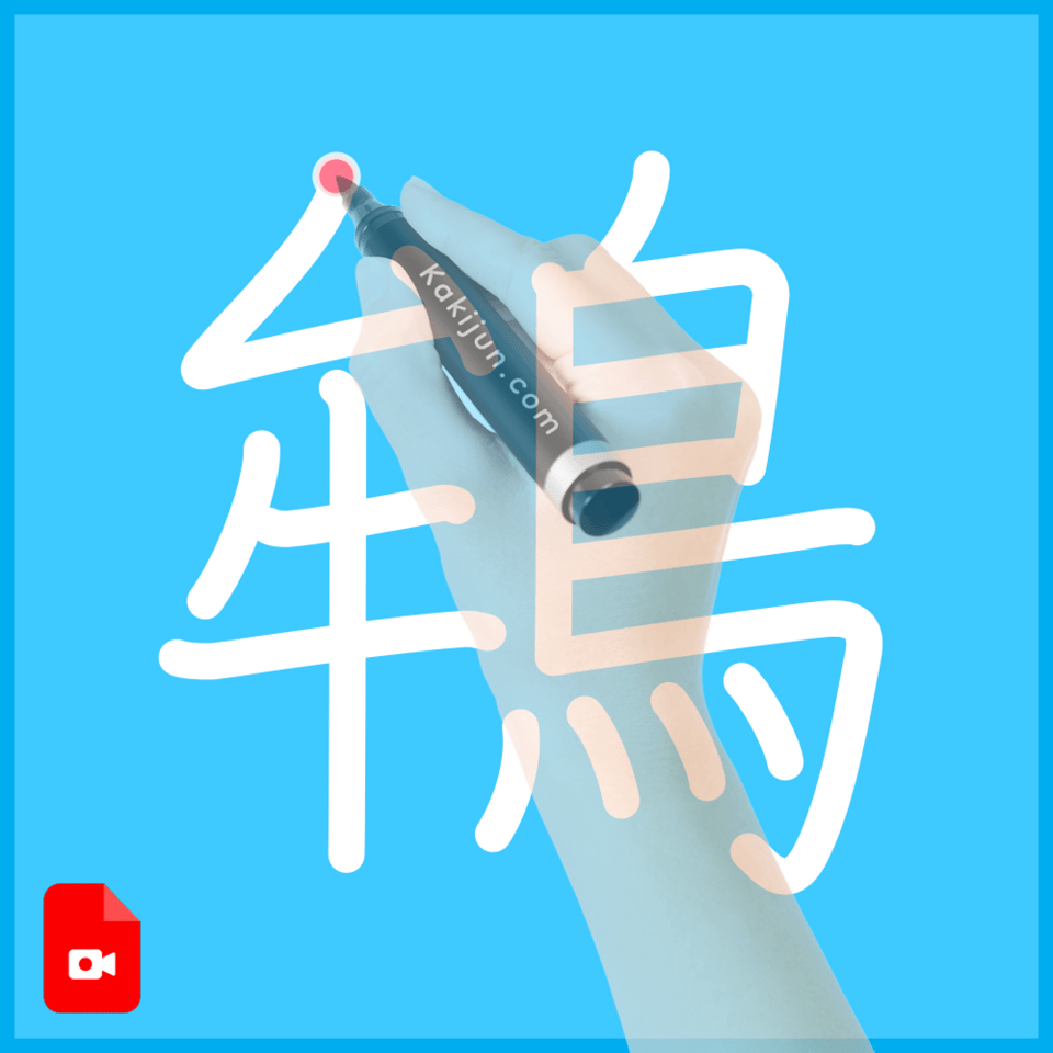 「鴾」の書き順
