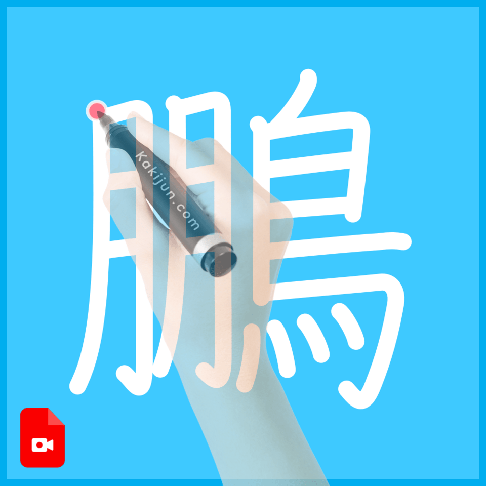 「鵬」の書き方